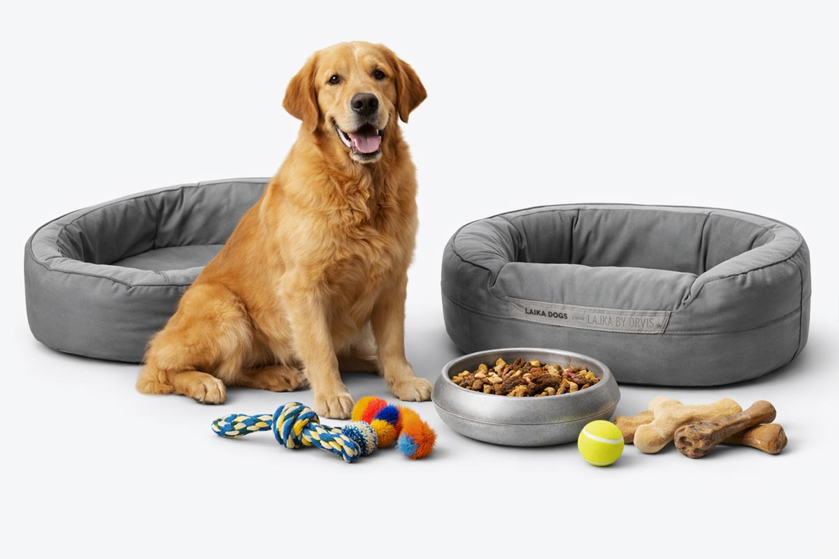 PET PRODUCTS Blink Asia